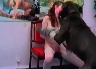 Stunning big black dog pounds her crack