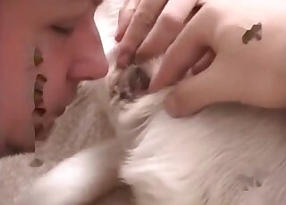 Doggy's butthole licked by a horny owner