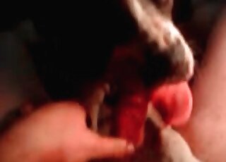 Gorgeous blowjob for a sexy doggy