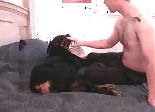 Dirty-as-fuck bestiality with a black dog
