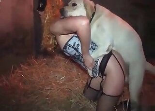 Wild fuck with a white dog