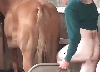 Gay dude fucking a horse in the barn
