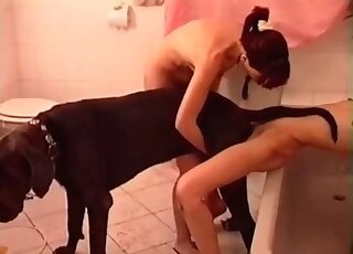 Black dog licks her wide-opened hole on cam
