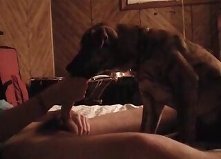 Kinky little puppy gets fucked raw
