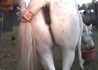 Awesome dude rims a horse on cam