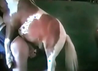 Hardcore pony fucked her hole on camera