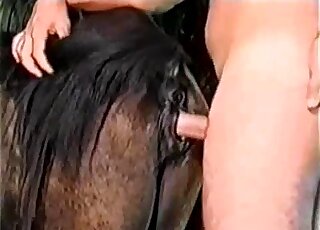 Dude with big cock fucked his animal