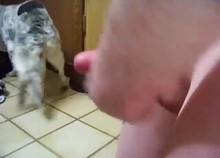 Sexy doggy sucks a huge dick with love