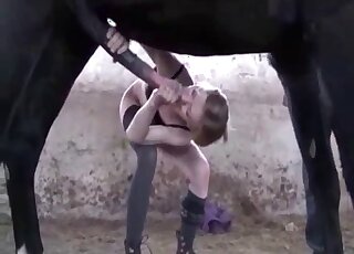 Leggy slut takes horse's cock