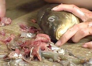 Gorgeous Japanese slut fucking eels and stuff