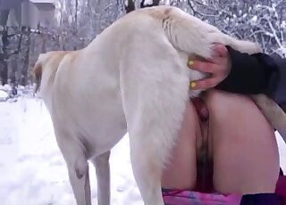 Submissive zoophile likes outdoor bestial dog porn
