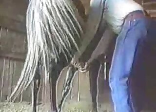Crazy farm bestial sex action with a sweet mare