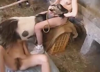 Playful girlfriend opens her crack for an animal