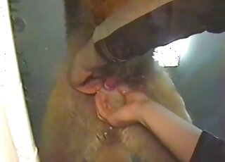 Nice handjob zoophile sex game in the farm