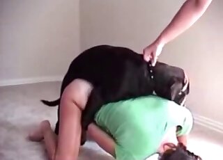 Black animal is enjoying hardcore doggy style animal sex