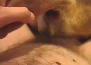 Fucking my playful animal in the close-up angle