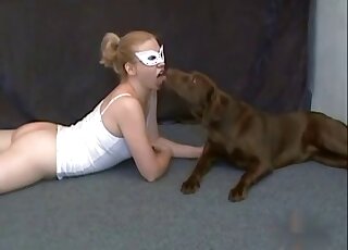 Brown dog and a masked zoophile like each other