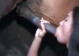 Dog gets a nice blowjob from an ebony babe