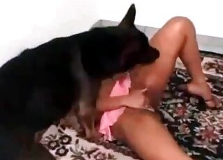 Leggy babe seduced by this doggo