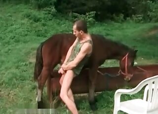 Gay dude jerks off a horse and himself