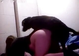 Jerking doggy pink dick just to get cum