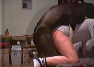 Black doggy roughly fucked a sensual young zoophile