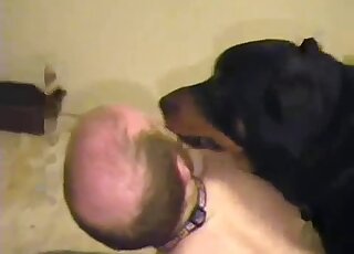 Black-haired doggy screwed a passionate boyfriend