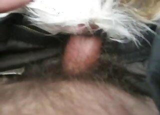 Sticking my hard penis in a tight ass of a doggy