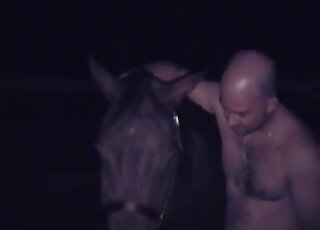 Bald man shoves his hand in a tight ass of a horse