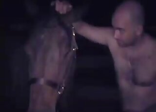 Bald man shoves his hand in a tight ass of a horse