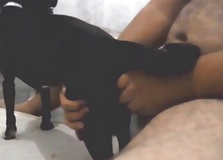 Black animal in a passionate video