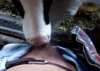 Cute small cow likes sucking my hard dick