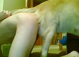 Stunning white doggy fucked a passionate hottie