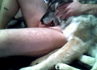 Stimulating genitals of my lovely trained doggy