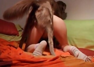 Big-bottomed angel nicely fucked by her trained dog