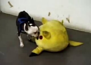 A small young doggy is having nasty sex with a toy