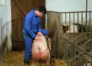 The real farmer squeezes fresh milk out of a big tit