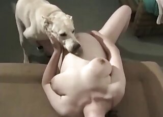 Nice-looking doggy is licking her wide-opened cunt