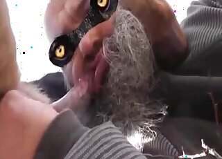 Bearded lover sucks a nice farm cock in the close-up