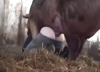 Awesome farm animal fucked his ass from behind