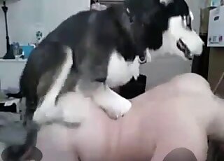Sensual husky is having fun with a hardcore zoophile