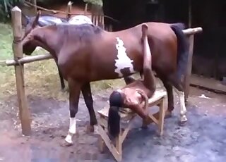 Black doll likes sucking the big penis of her stallion