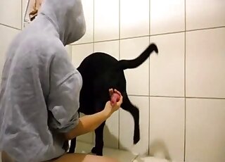 Sexy zoophile takes care of a doggy's tight anal