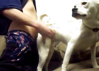 Awesome white hound screwed in the doggy style pose