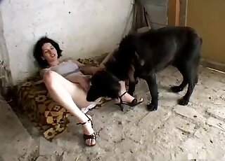 Black doggy is licking her wide-opened cunt on the cam