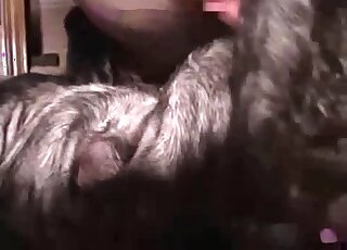 Cute small dog nicely fucked by a playful lover