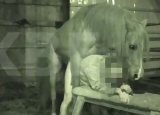 Aesthetic man fucked by a muscled horse from behind