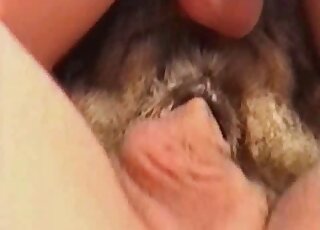 Great-looking and dirty amateur animal porn session