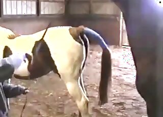 A sexy lover is having fun with a nice horse penis
