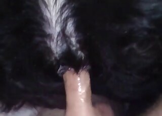 Sticking my hard dick in a tight ass of a black doggy